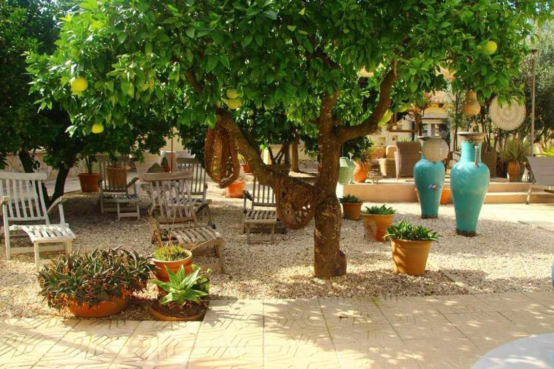 Casa-Orbeta Bed & Breakfast Orba Exterior photo